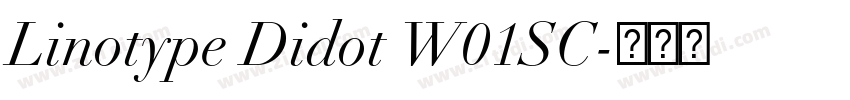 Linotype Didot W01SC字体转换